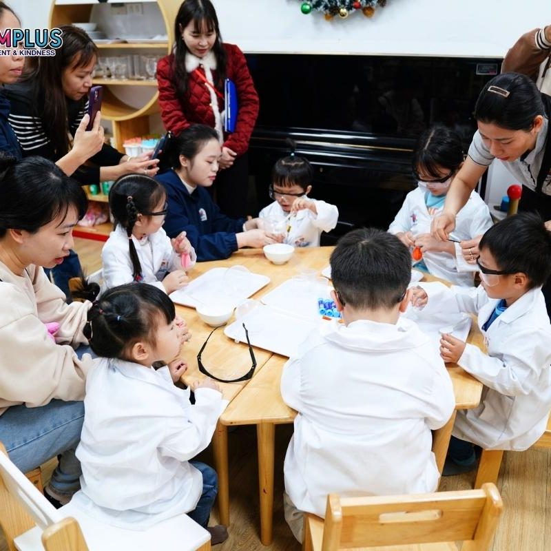 mầm non quảng an